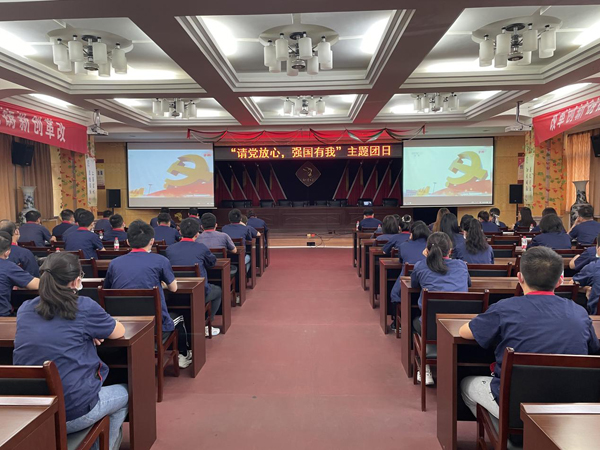 公司开展“请党定心 强国有我”主题团日运动