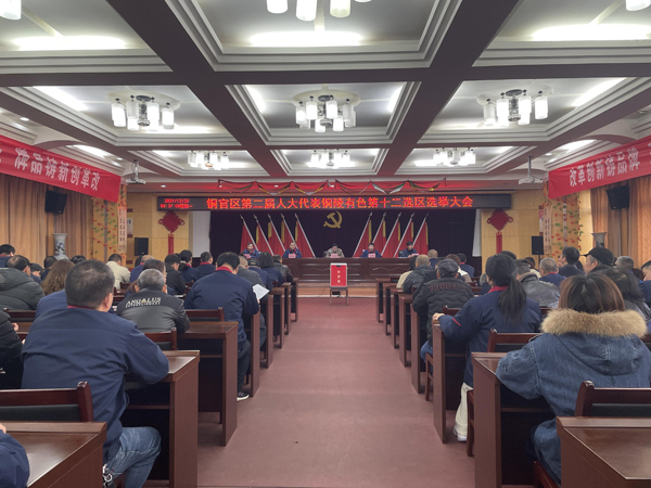 公司完成铜官区第二届人大代表选举事情 