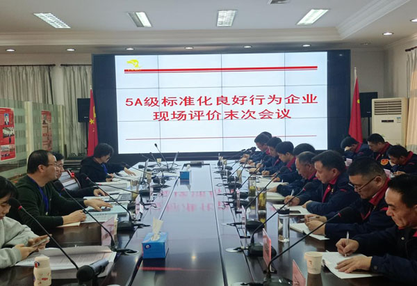 省标准化评审组到公司开展评审事情