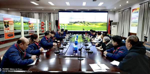 公司召开物资系统“扁平化”治理务虚会