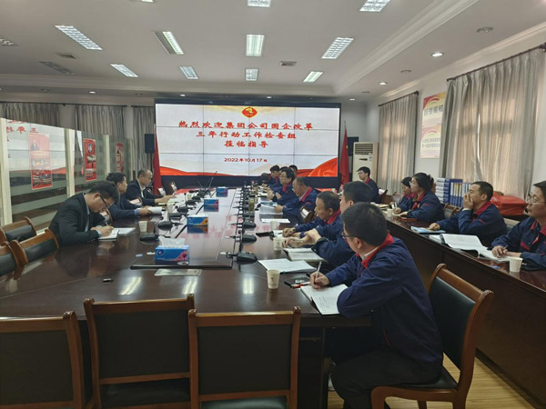 集团公司到公司检查“国企刷新三年行动”