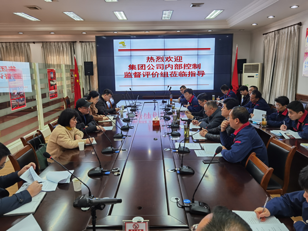 集团公司到公司开展内控自评检查事情 