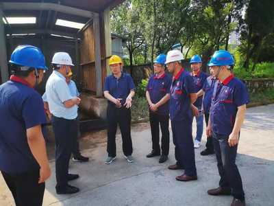 集团公司副总司理到公司督察环保治理事情