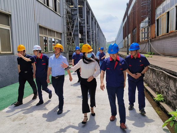 省国资委到公司督导环保整改事情