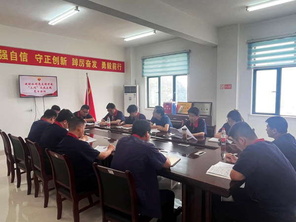 王伍升加入建材公司党支部主题党日运动