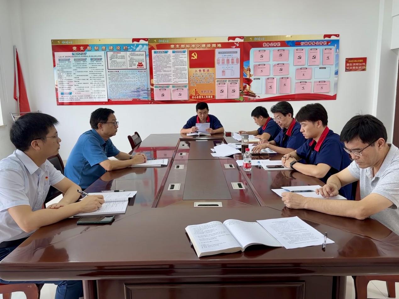 公司各党支部召开学习贯彻习近平新时代中国特色社会主义头脑主题教育专题组织生涯会