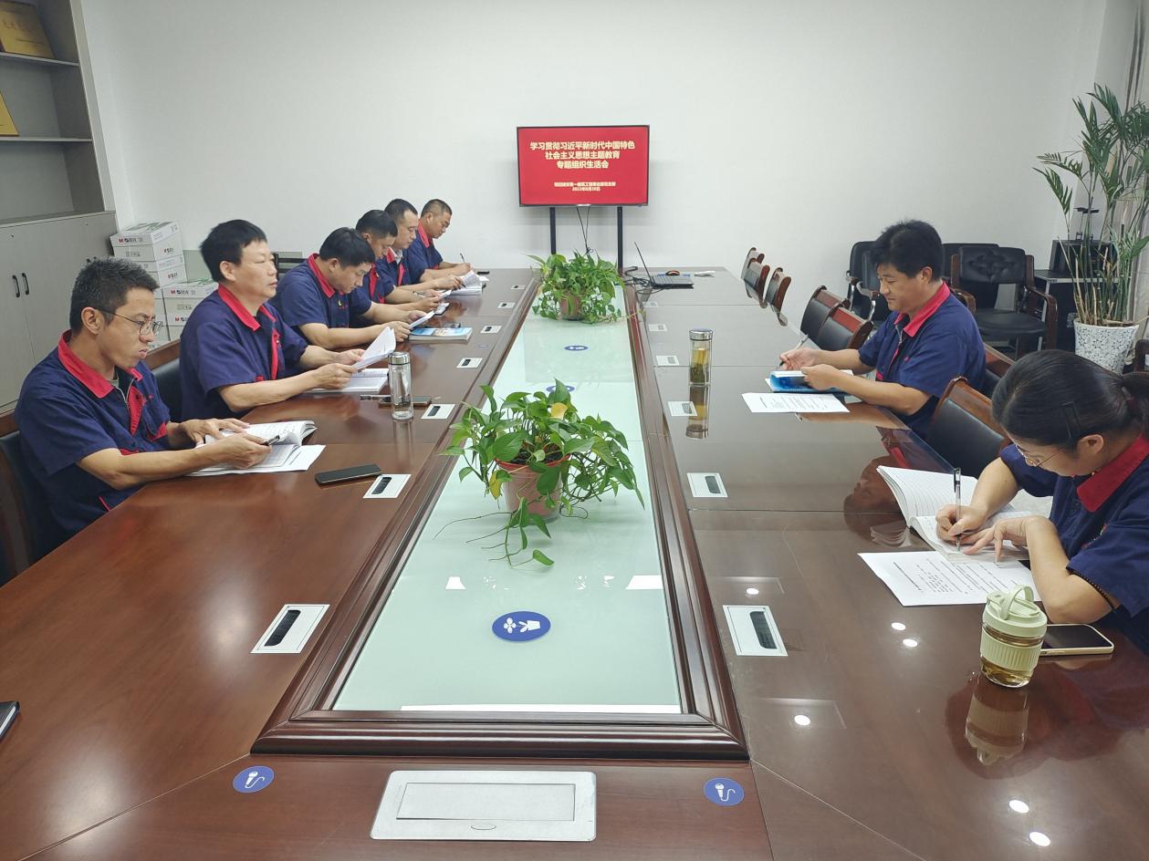 公司各党支部召开学习贯彻习近平新时代中国特色社会主义头脑主题教育专题组织生涯会