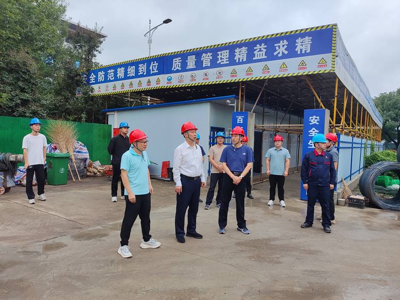 集团公司总司理到合肥铜箔项目调研