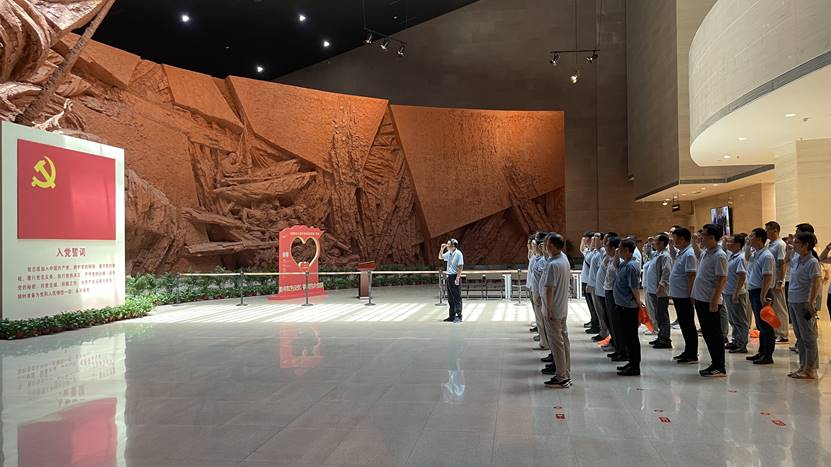 公司党委开展主题党日暨“过整体政治生日”运动